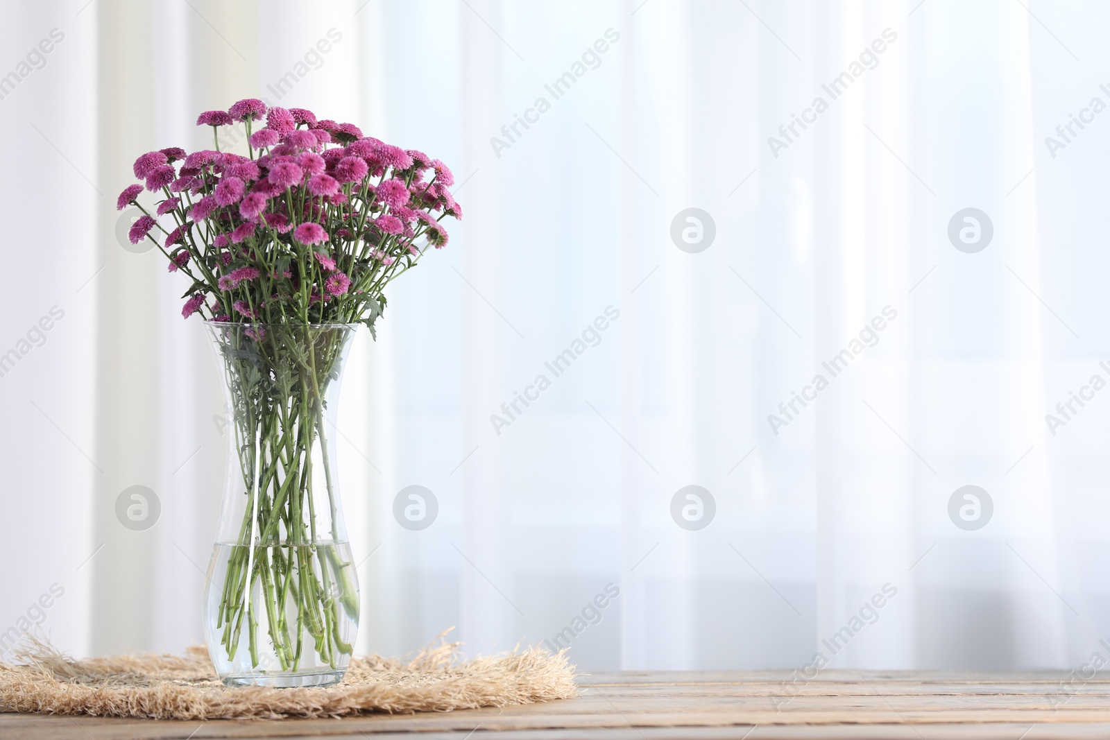 Photo of Beautiful pink flowers in vase on wooden table indoors. Space for text