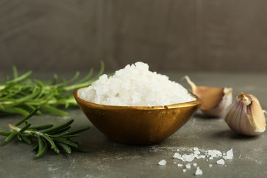 Sea salt in bowl, rosemary and garlic on grey table, closeup