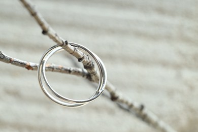 Beautiful silver ring on branch against blurred background, closeup. Space for text