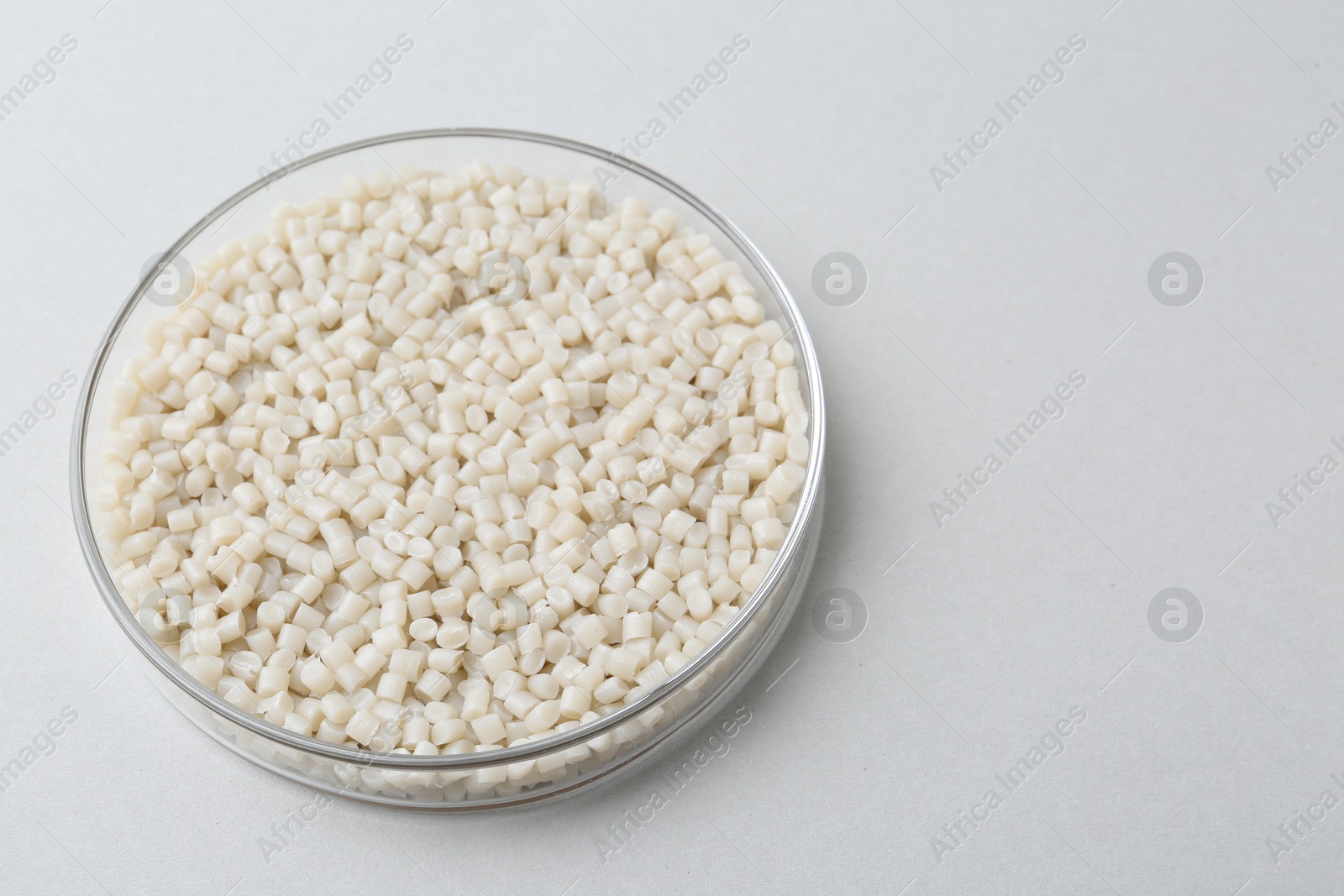 Photo of Plastic granules in petri dish on gray background, closeup. Space for text