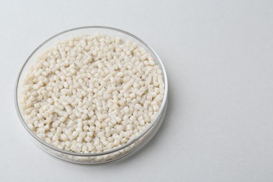 Photo of Plastic granules in petri dish on gray background, closeup. Space for text