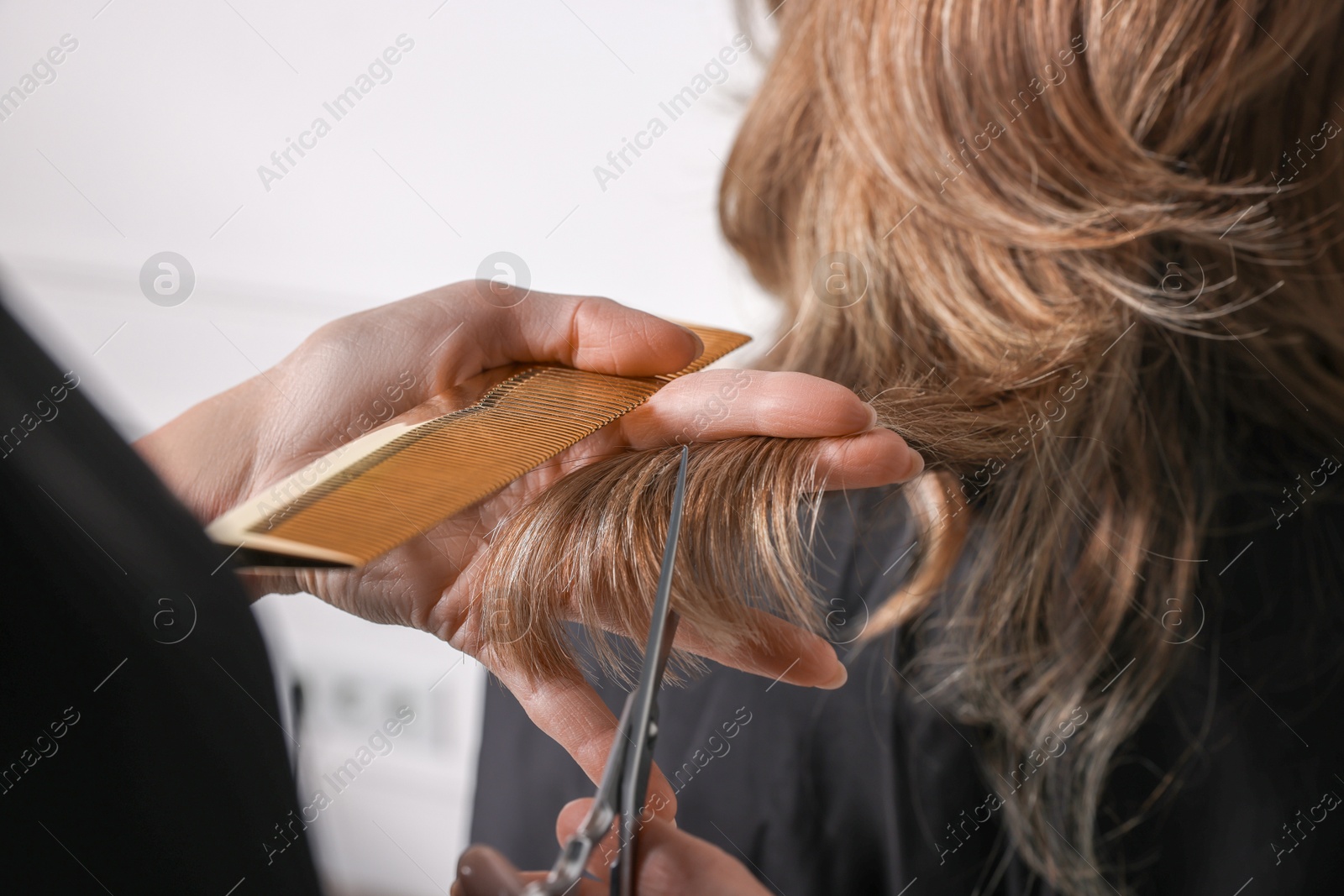 Photo of Hairdresser cutting client's hair with scissors in salon, closeup