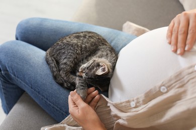 Photo of Pregnant woman with cute cat sleeping at home, closeup