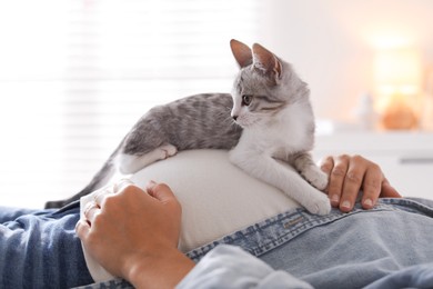 Photo of Pregnant woman with cute cat on her belly at home, closeup