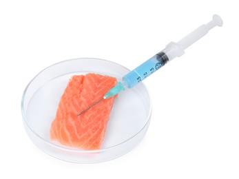 Photo of GMO concept. Piece of salmon and syringe isolated on white