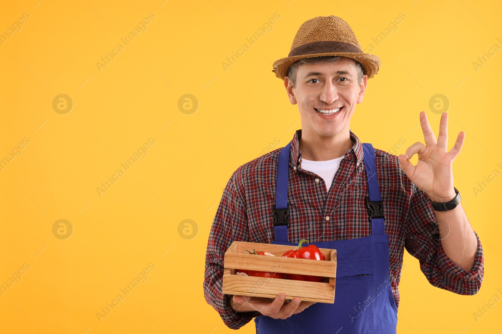 Photo of Farmer with vegetables showing okay gesture on orange background. Space for text