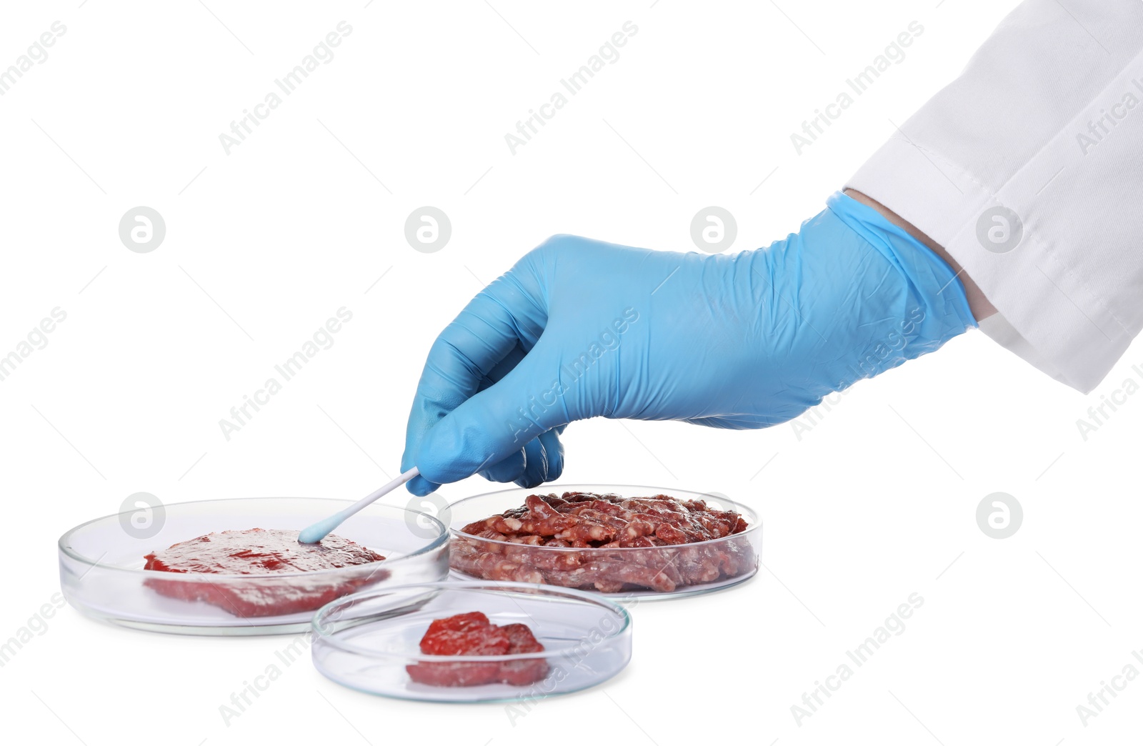 Photo of GMO concept. Scientist with swab and piece of meat on white background, closeup