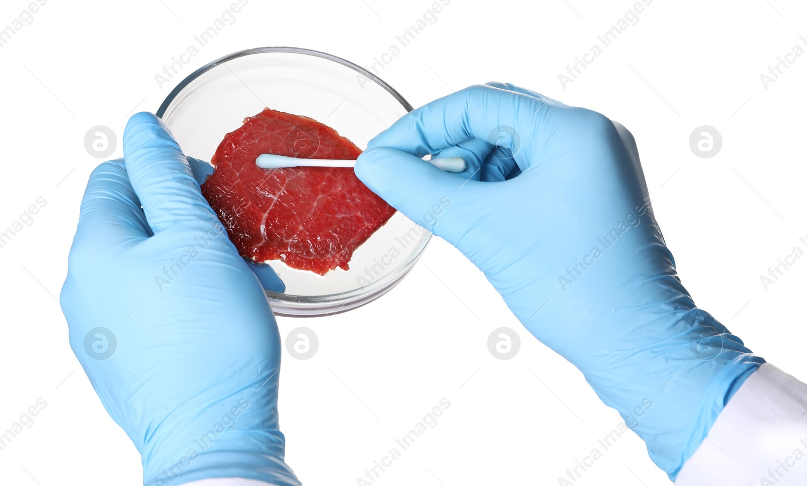 Photo of GMO concept. Scientist with swab and piece of meat on white background, closeup