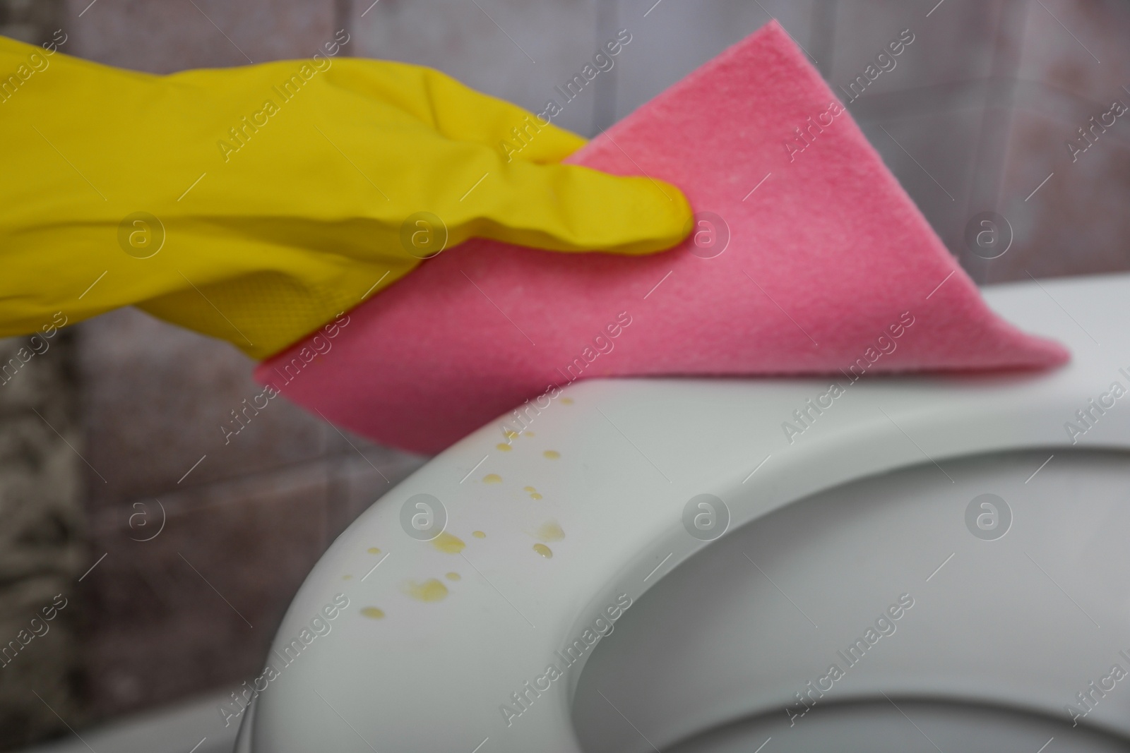 Photo of Woman wiping urine drops from toilet seat in restroom, closeup