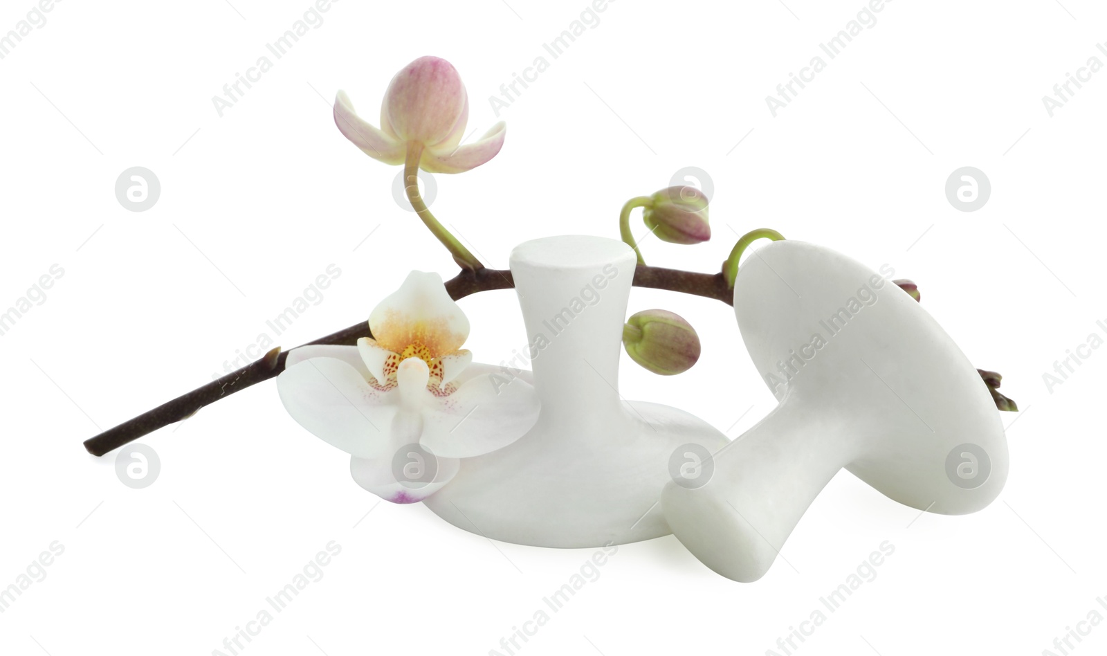 Photo of Spa stones and orchid branch isolated on white