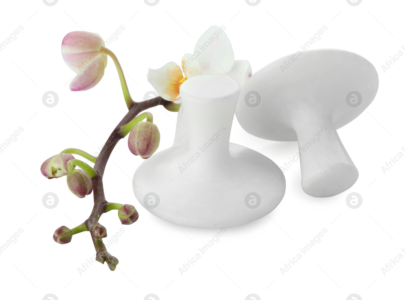 Photo of Spa stones and orchid branch isolated on white