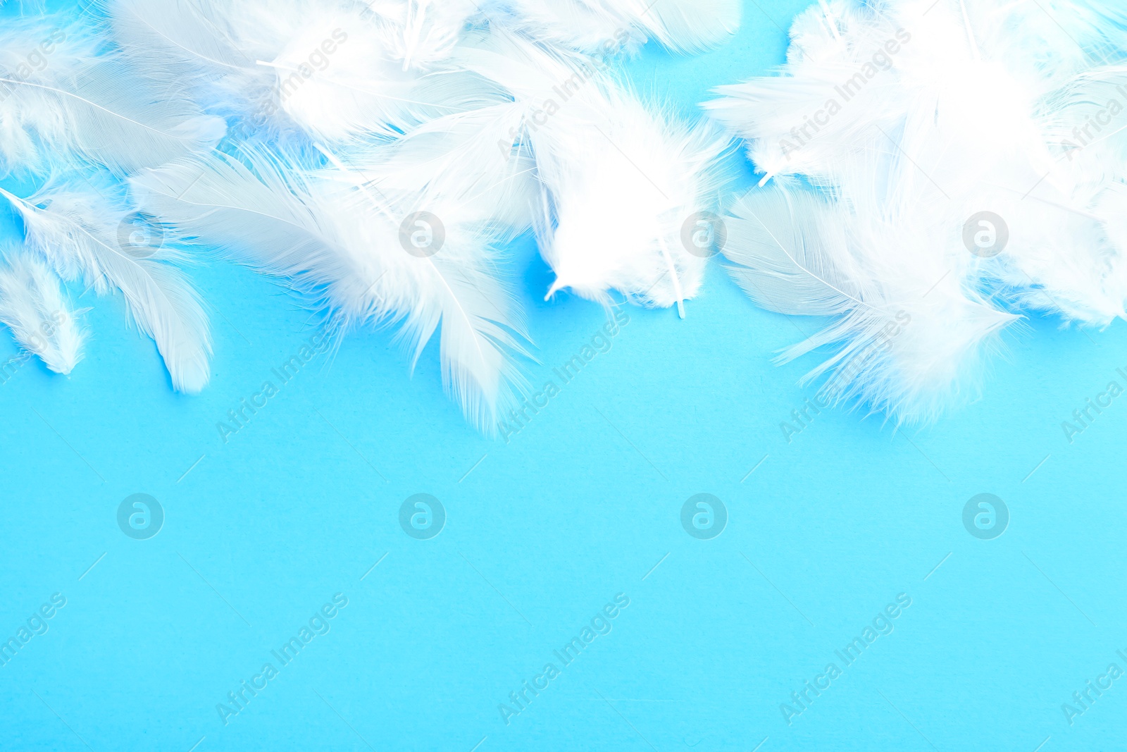 Photo of Beautiful fluffy feathers on light blue background, flat lay. Space for text