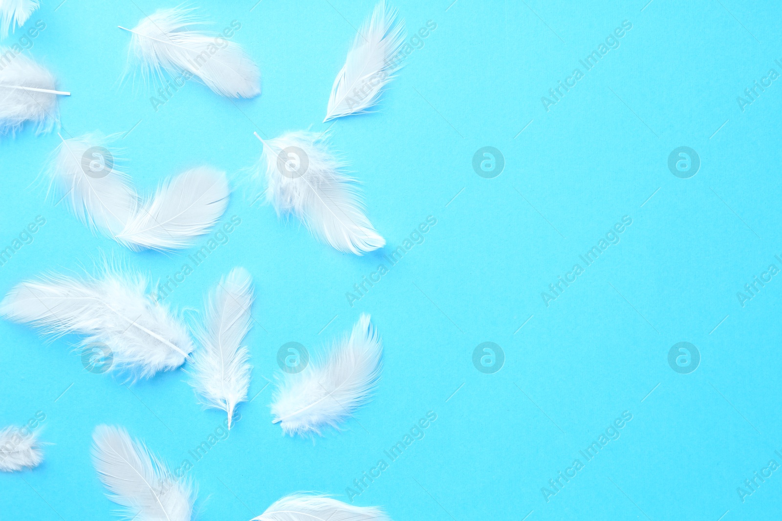 Photo of Beautiful fluffy feathers on light blue background, flat lay. Space for text