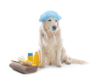 Photo of Cute dog with shower cap and other bath accessories on white background