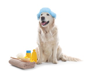 Photo of Cute dog with shower cap and other bath accessories on white background