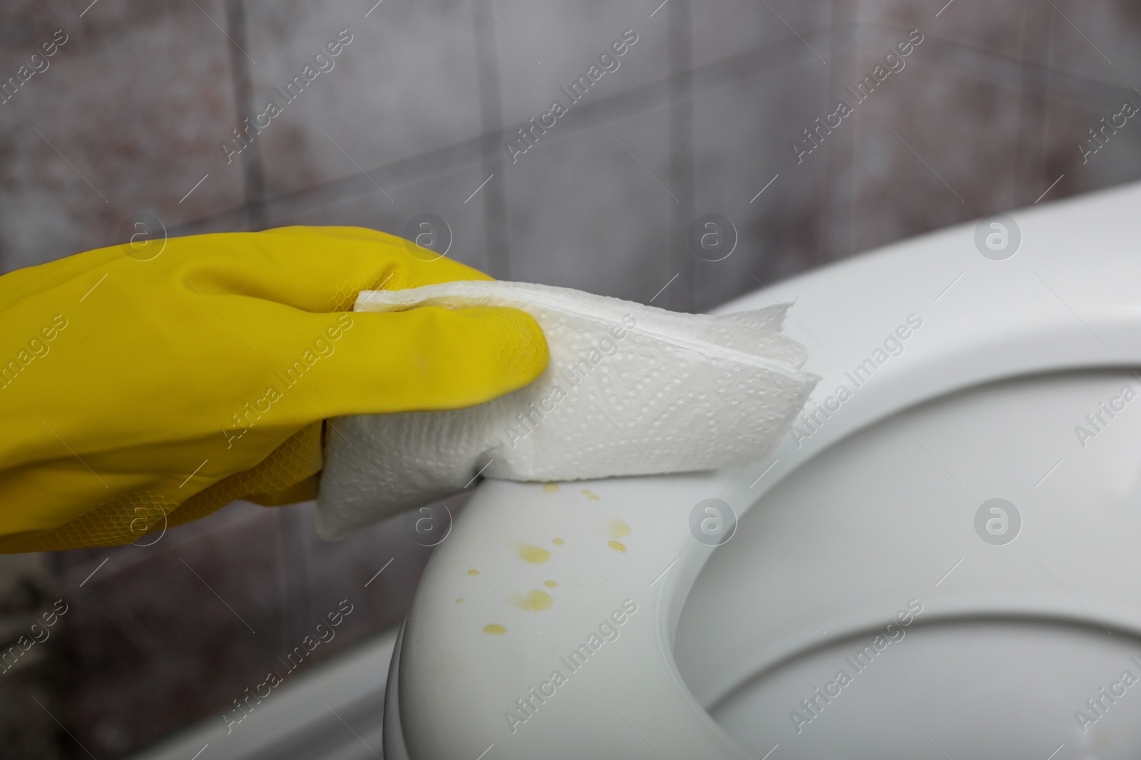 Photo of Woman wiping urine drops from toilet seat in restroom, closeup