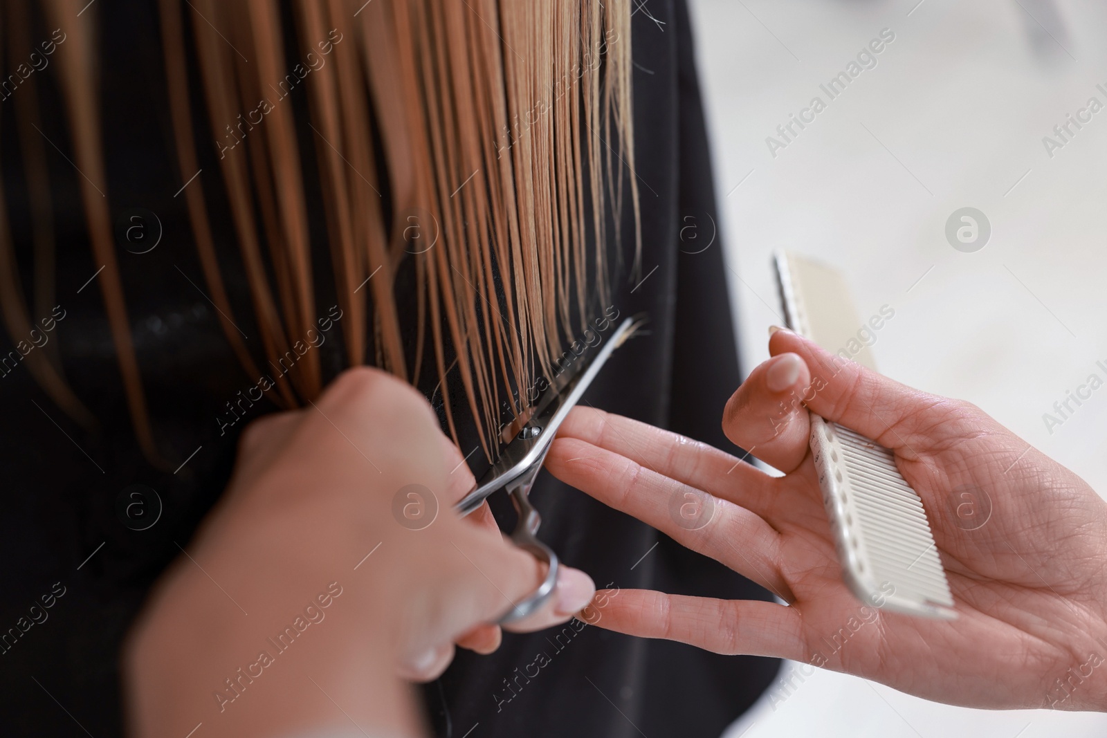 Photo of Hairdresser cutting client's hair with scissors in salon, closeup