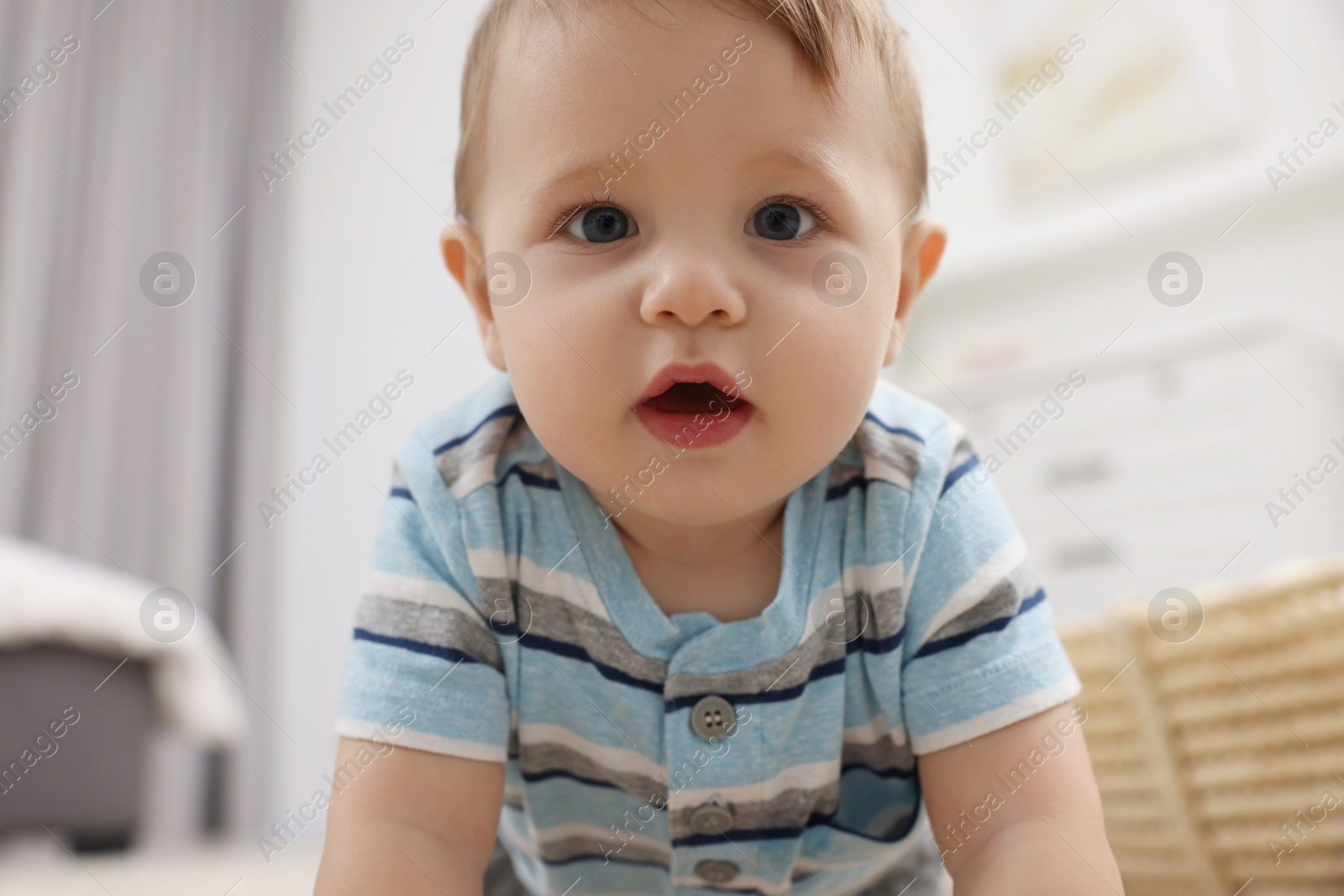 Photo of Portrait of adorable baby boy at home