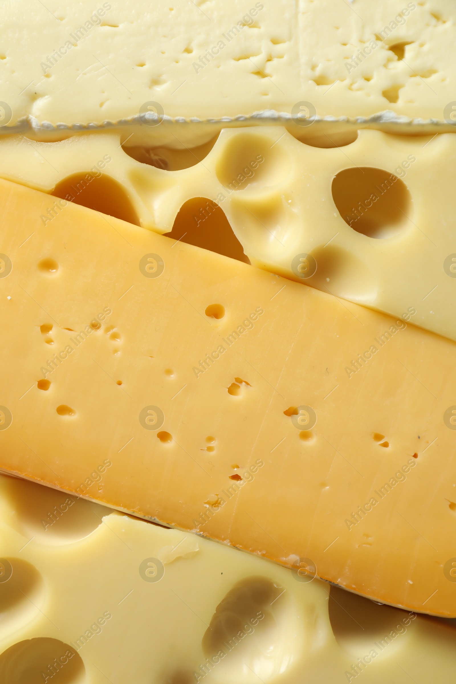 Photo of Different types of cheese as background, closeup