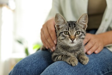 Photo of Woman with cute kitten at home, closeup