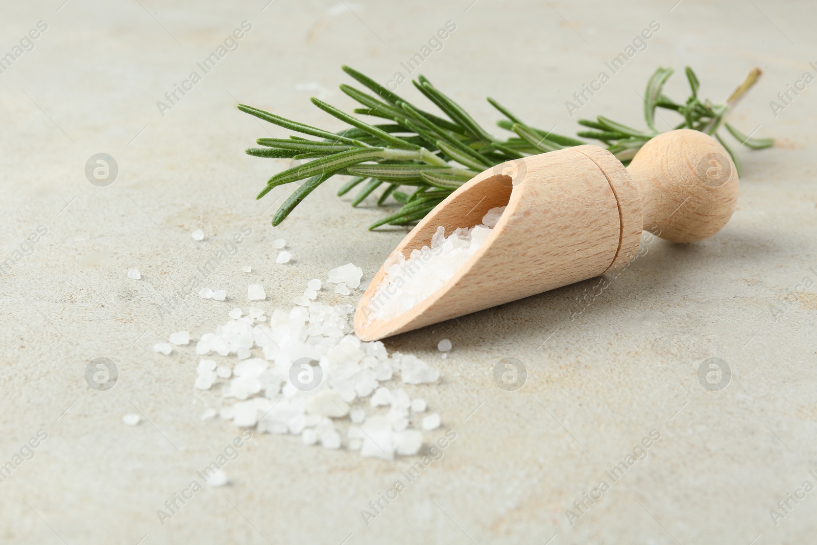 Photo of Sea salt in wooden scoop and rosemary on grey table, closeup