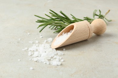 Photo of Sea salt in wooden scoop and rosemary on grey table, closeup