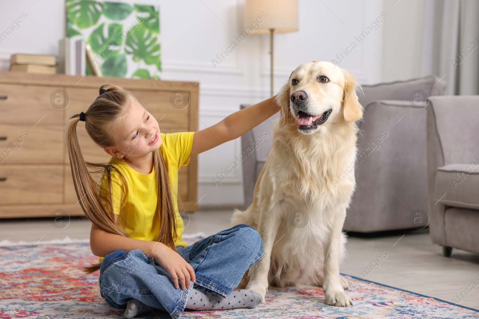 Photo of Girl with her cute Golden Retriever dog on rug at home