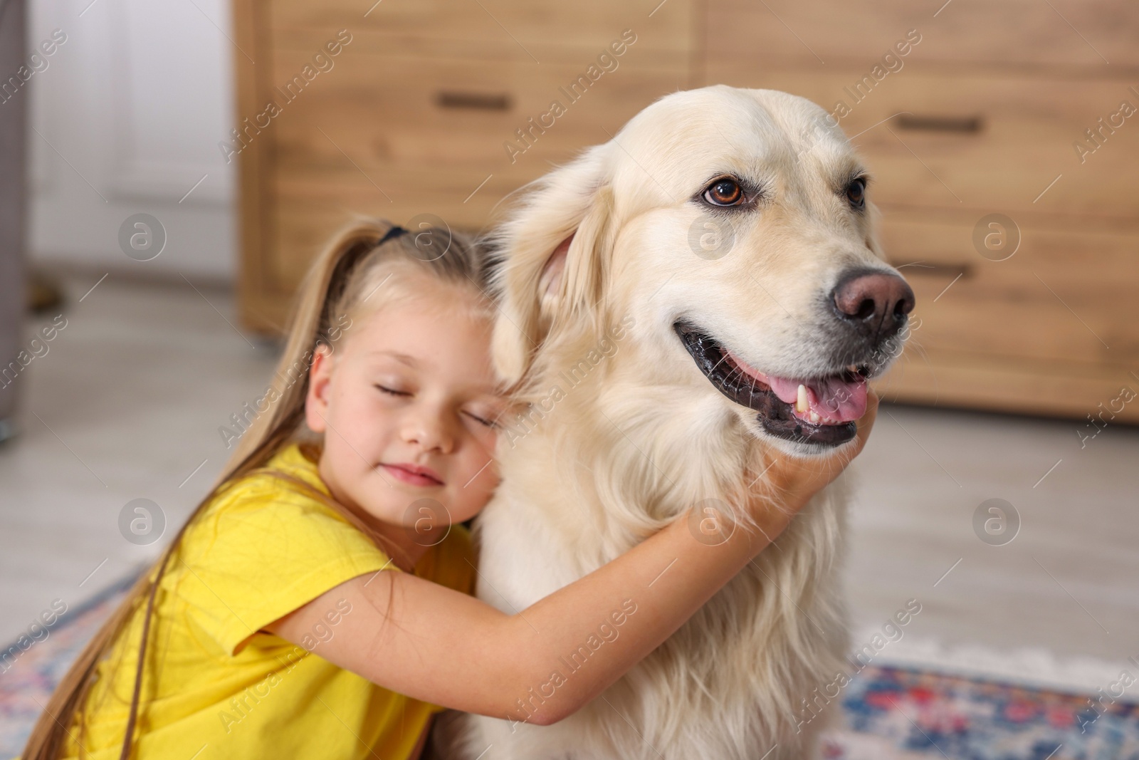 Photo of Girl with her cute Golden Retriever dog at home