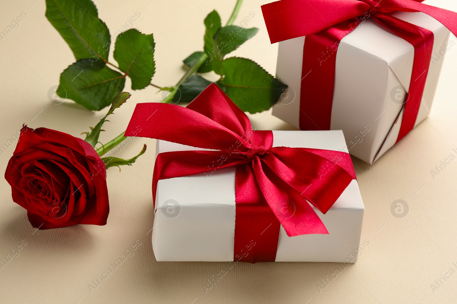 Photo of Beautiful gift boxes with red bows and rose on beige background, closeup