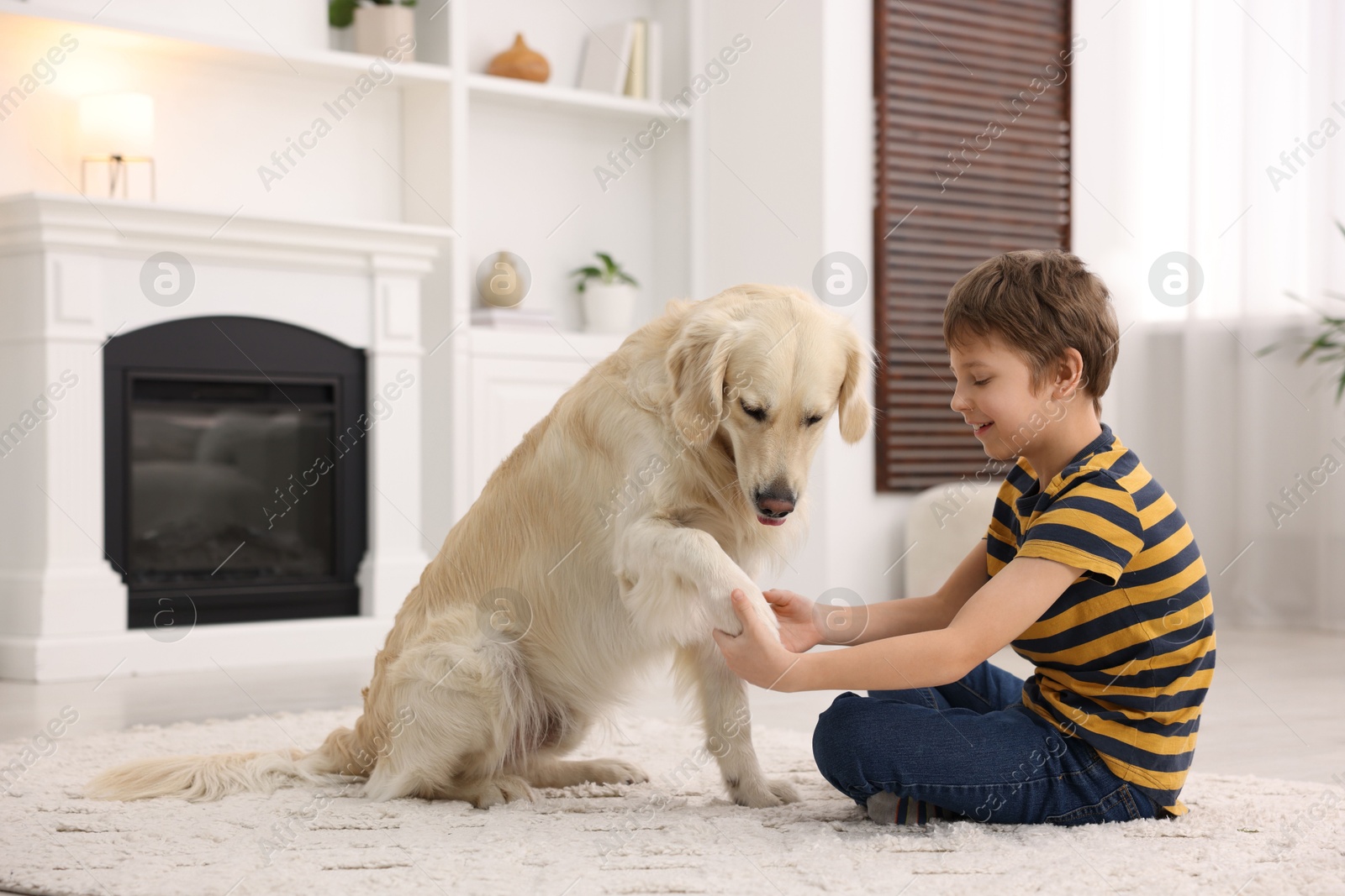 Photo of Boy training his cute dog at home