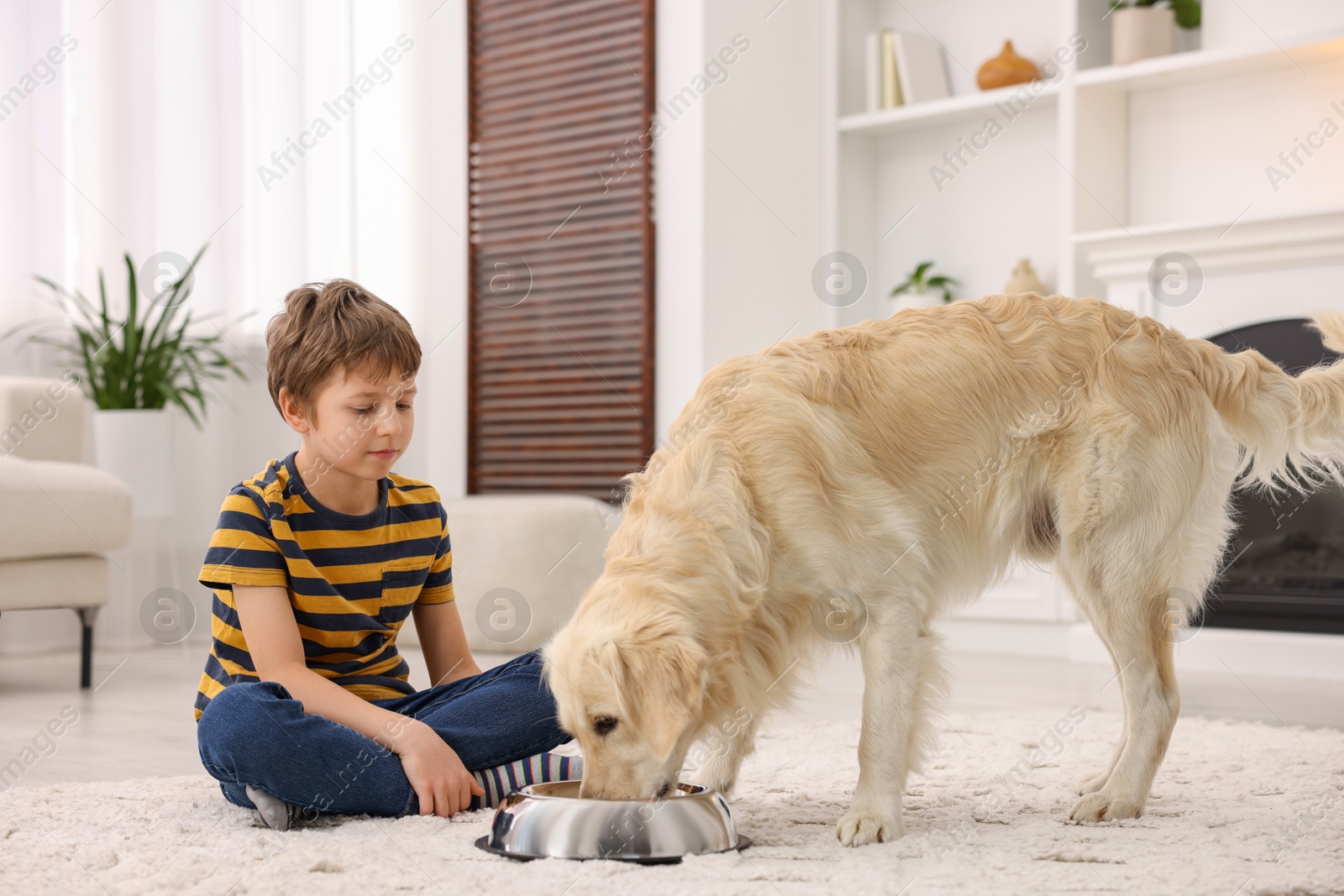 Photo of Boy feeding his cute dog at home