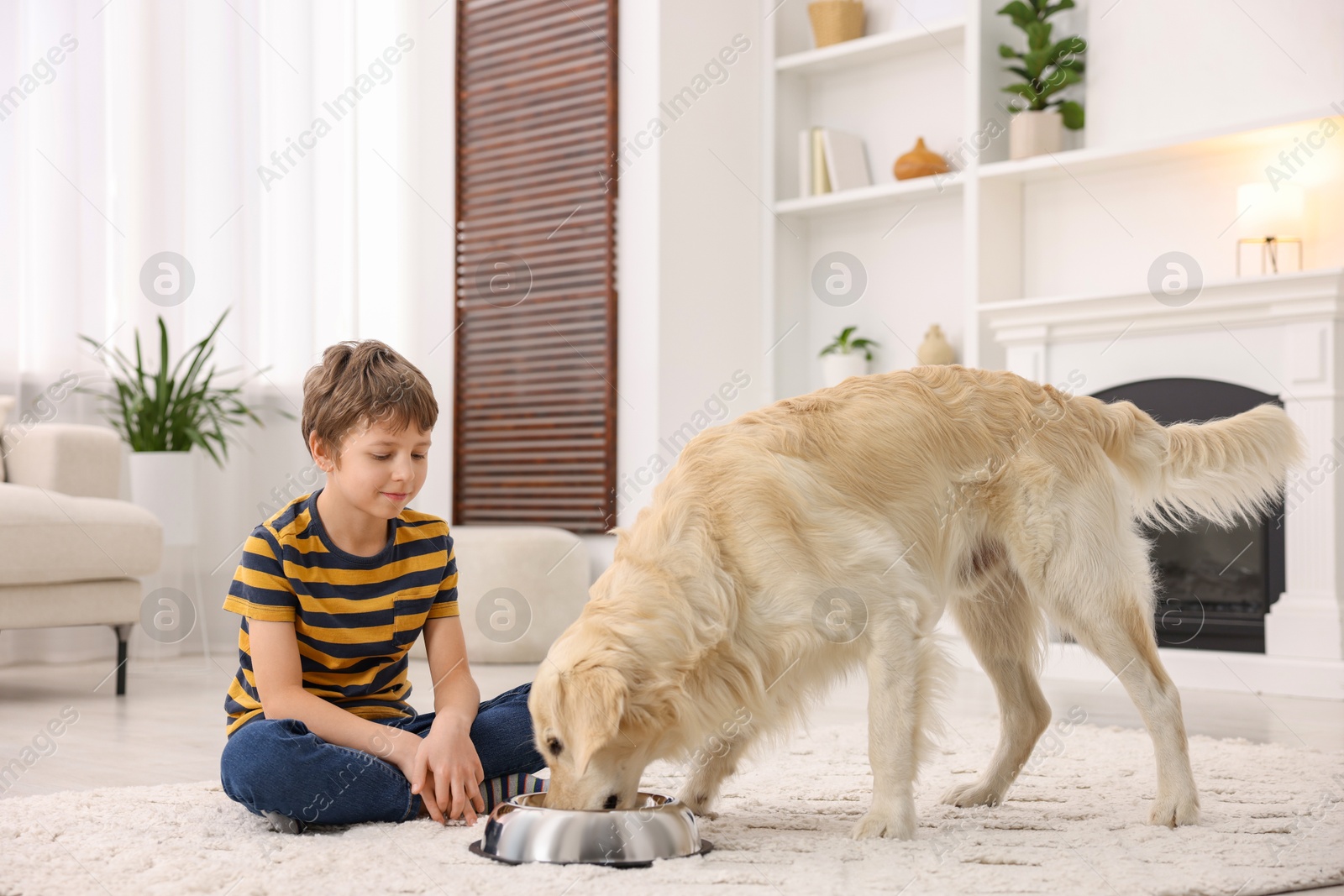 Photo of Boy feeding his cute dog at home