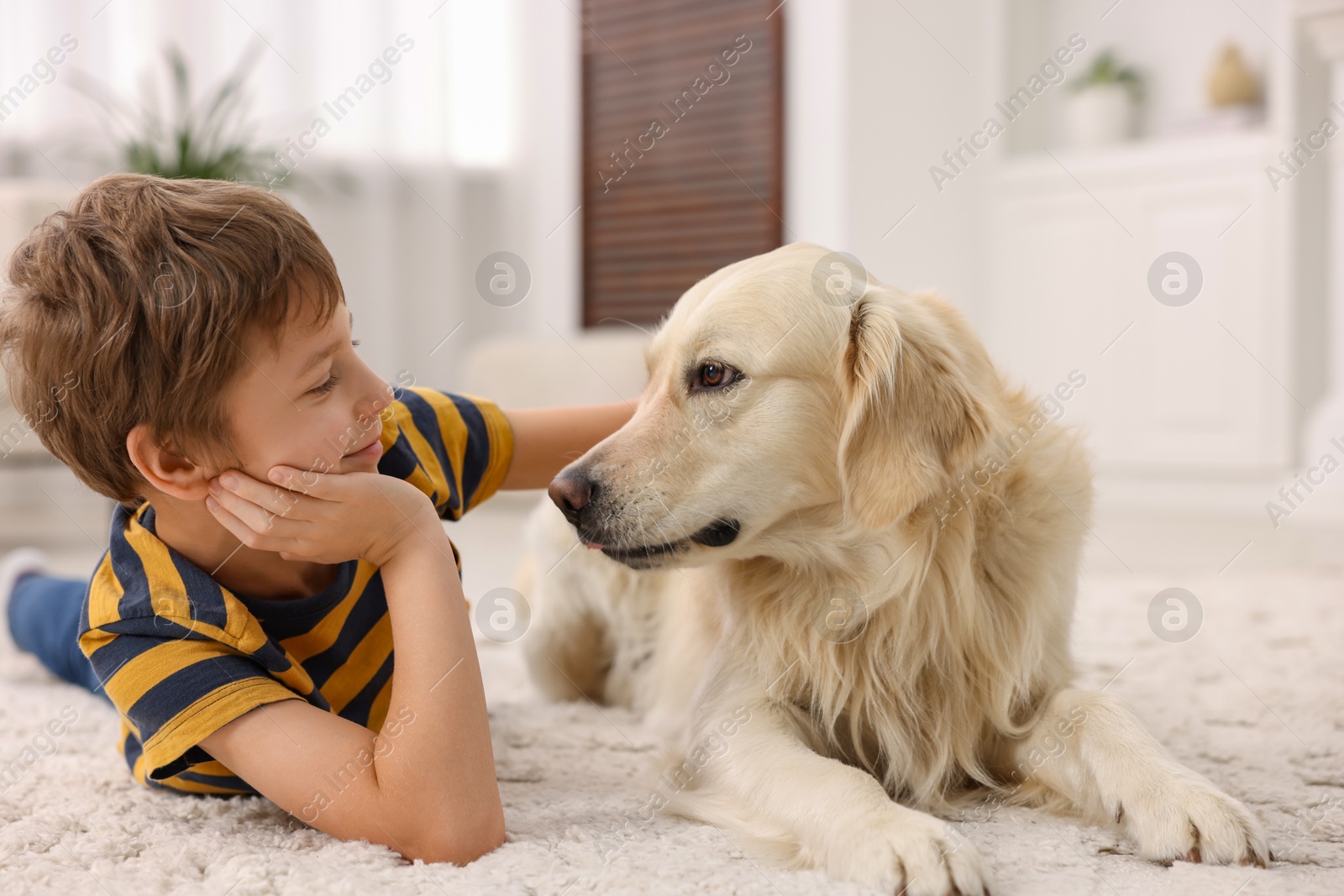 Photo of Boy with his cute dog at home