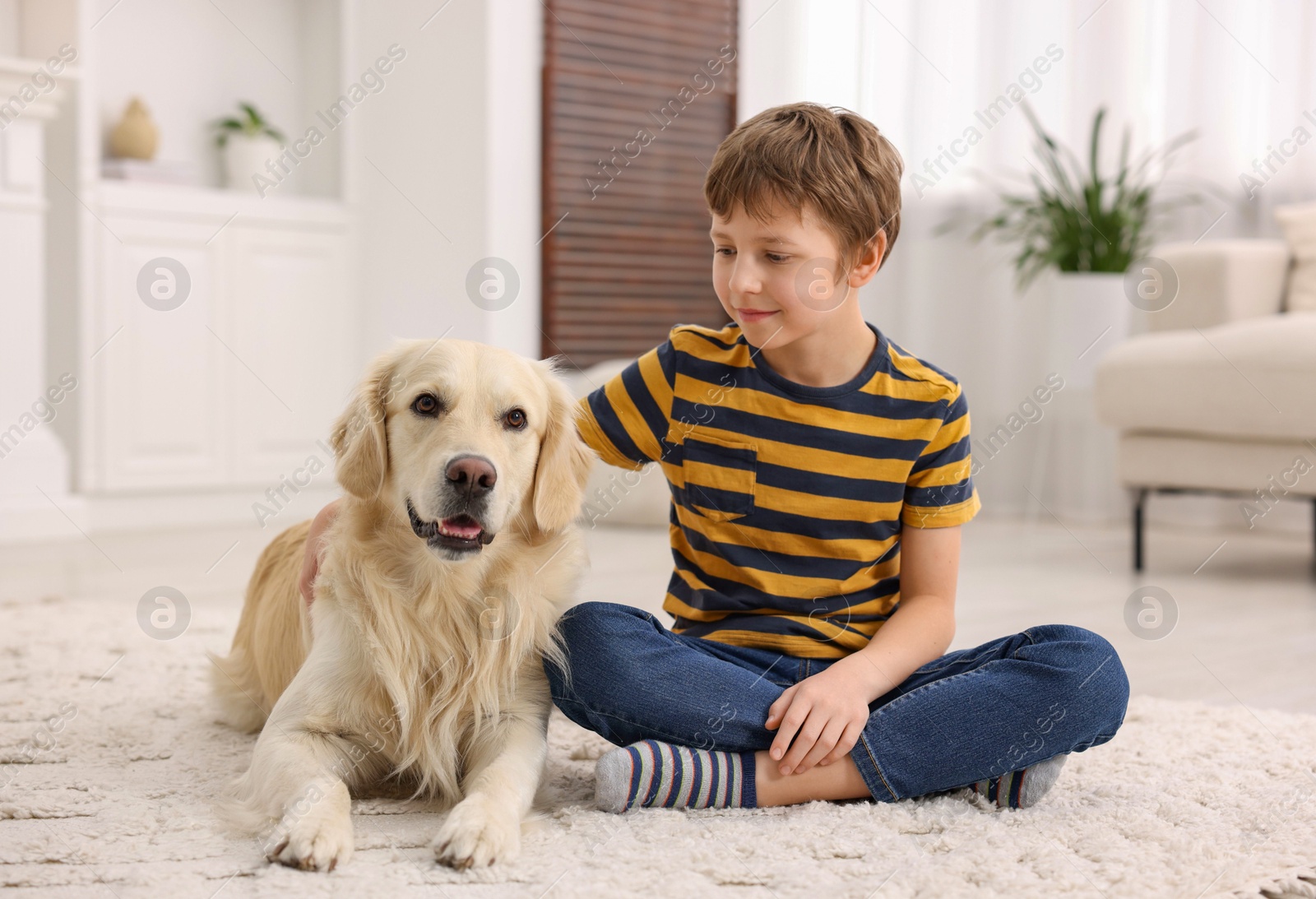 Photo of Boy with his cute dog at home