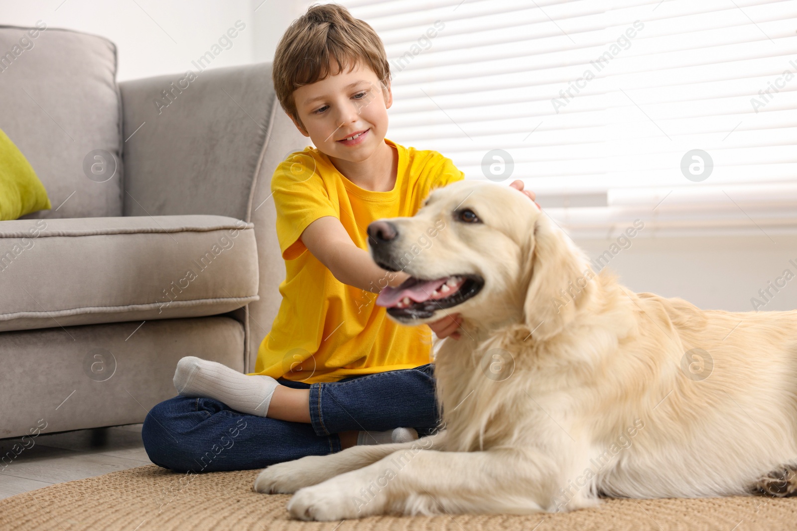 Photo of Boy with his cute dog at home