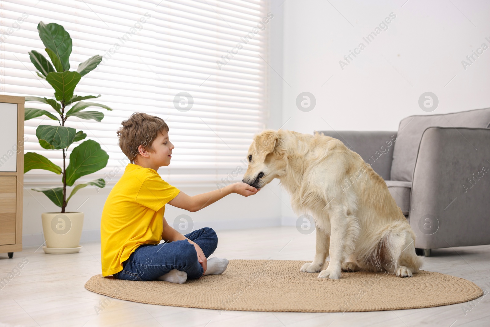 Photo of Boy with his cute dog at home