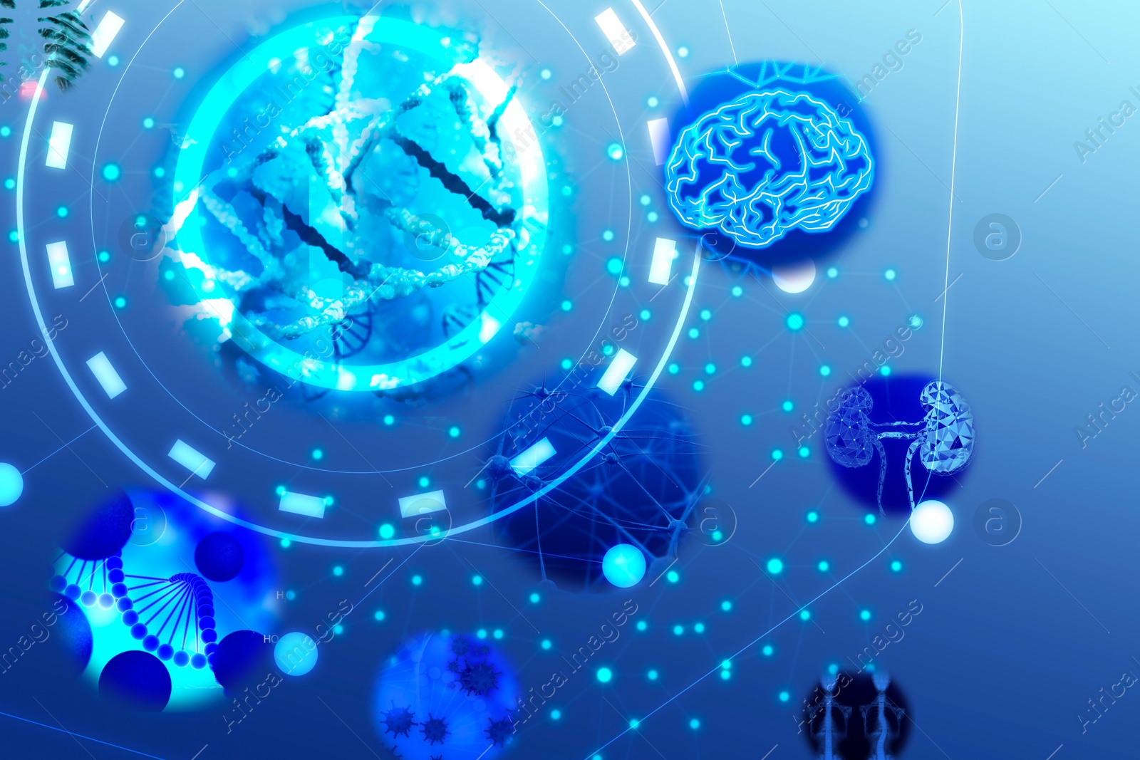 Image of Medical technology. DNA, human brain, kidneys, virus, skeleton x-ray and neural network on blue gradient background, illustration