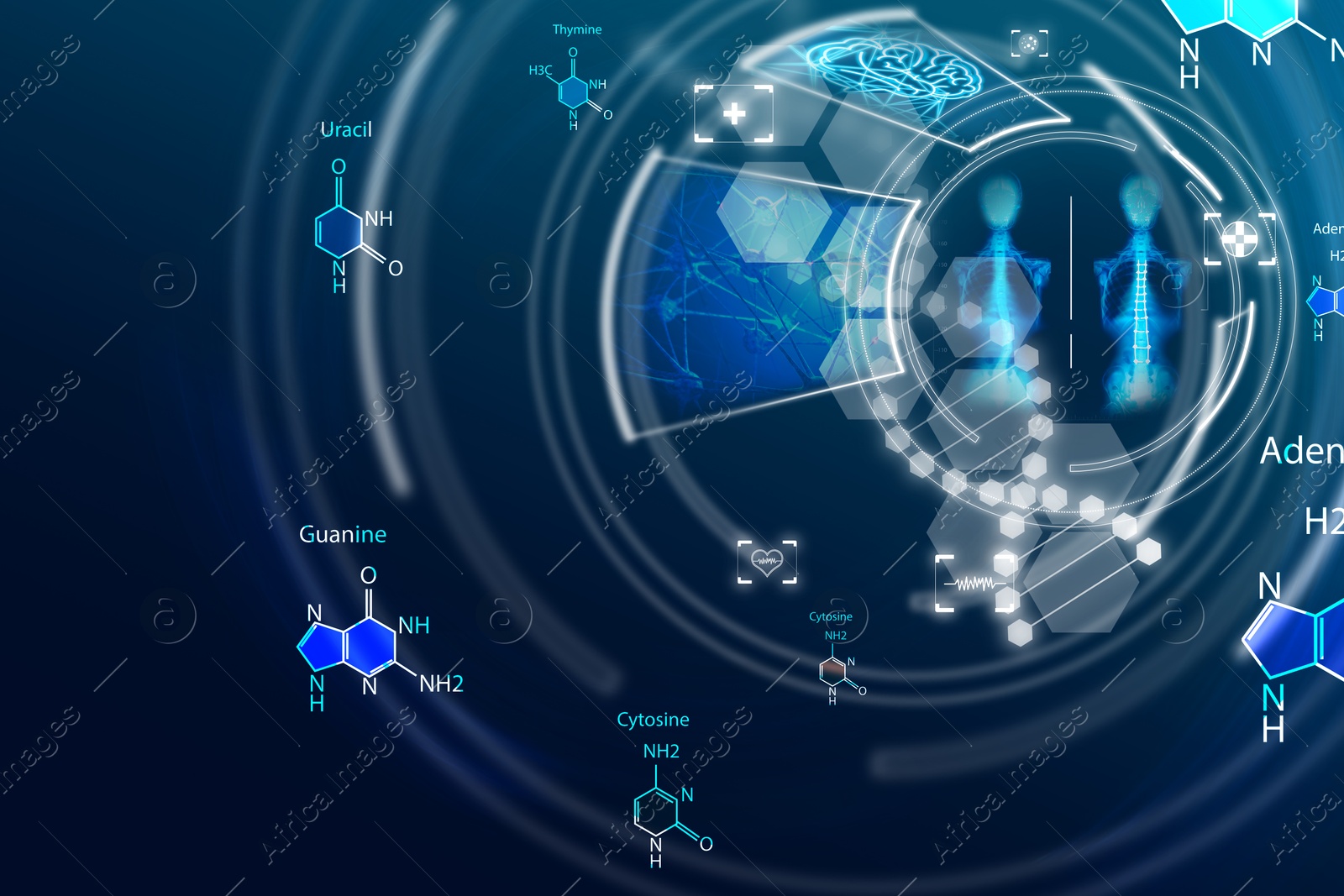 Image of Medical technology. Human skeleton x-ray, DNA, brain, neural network, different icons and molecules' structures on blue gradient background, illustration