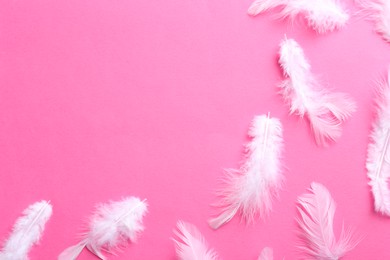 Photo of Many fluffy feathers on pink background, flat lay. Space for text