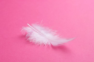 Photo of One beautiful fluffy feather on pink background, closeup