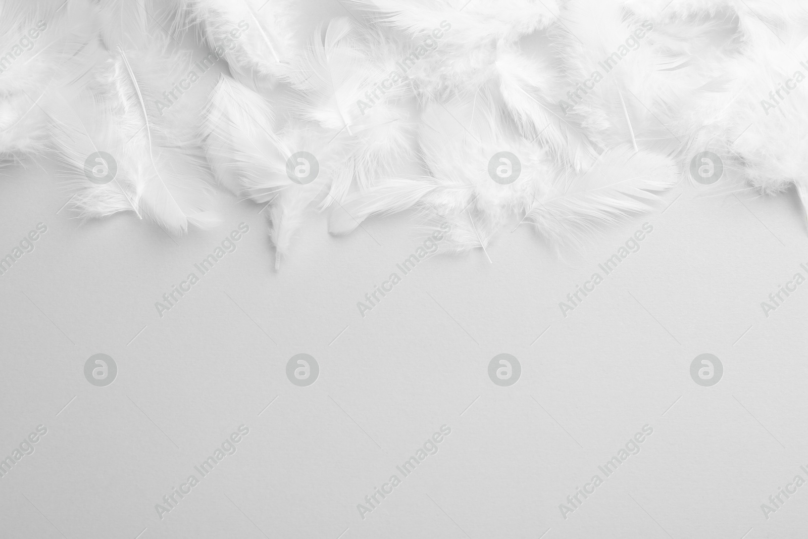 Photo of Beautiful fluffy feathers on light grey background, flat lay. Space for text