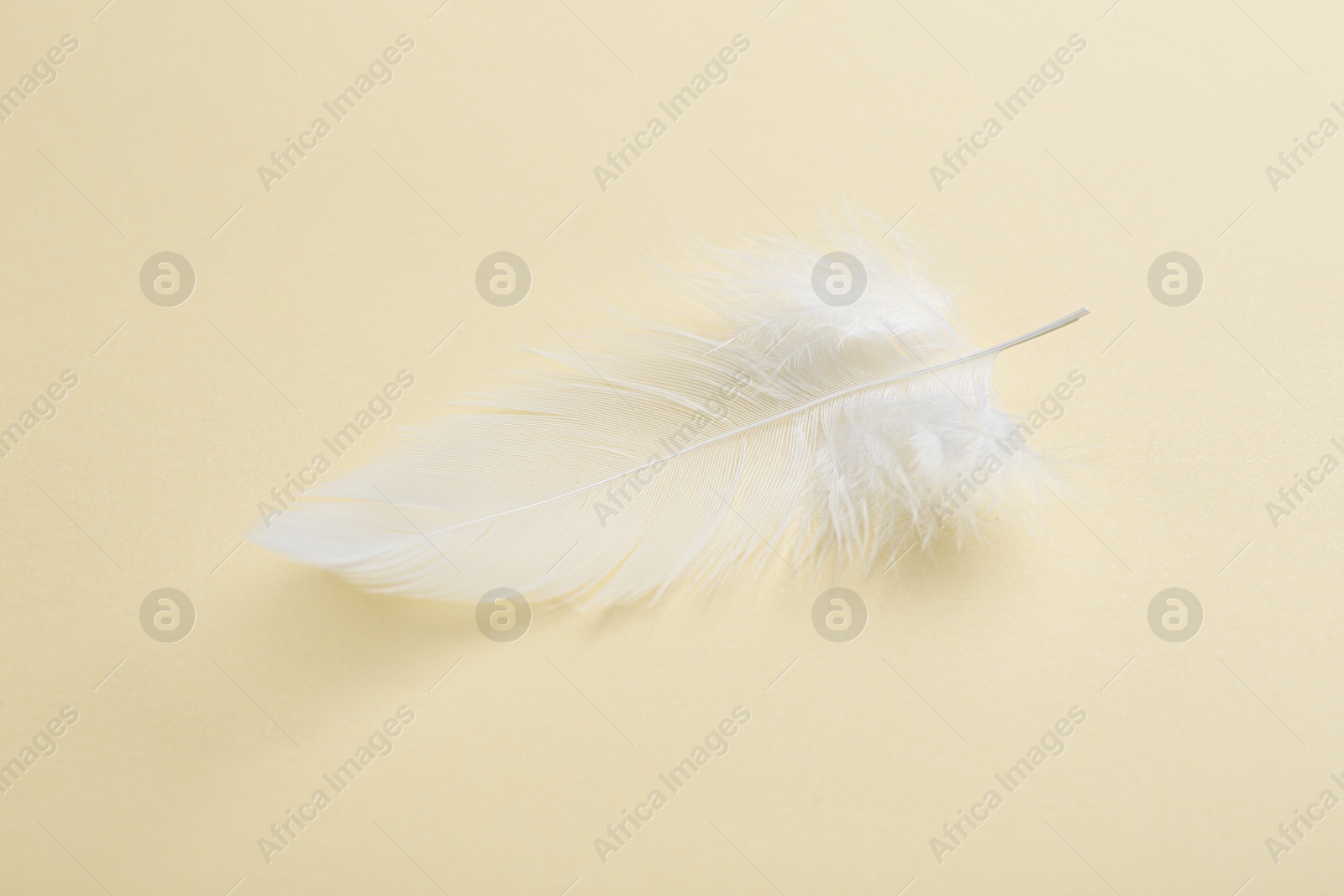 Photo of Beautiful fluffy feather on beige background, closeup