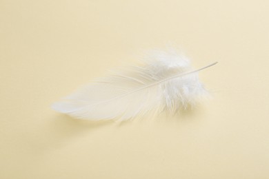 Photo of Beautiful fluffy feather on beige background, closeup