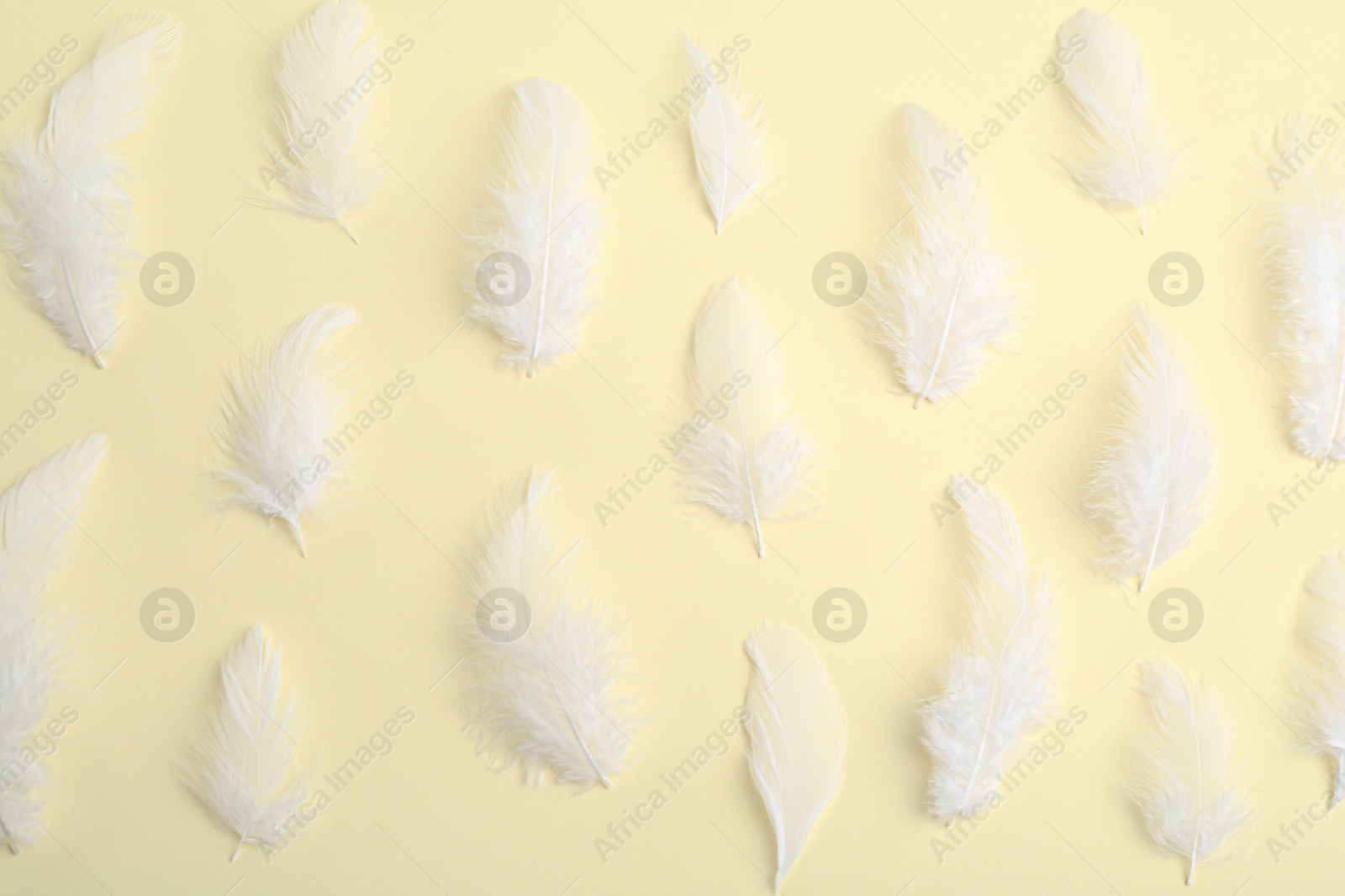 Photo of Beautiful fluffy feathers on beige background, flat lay