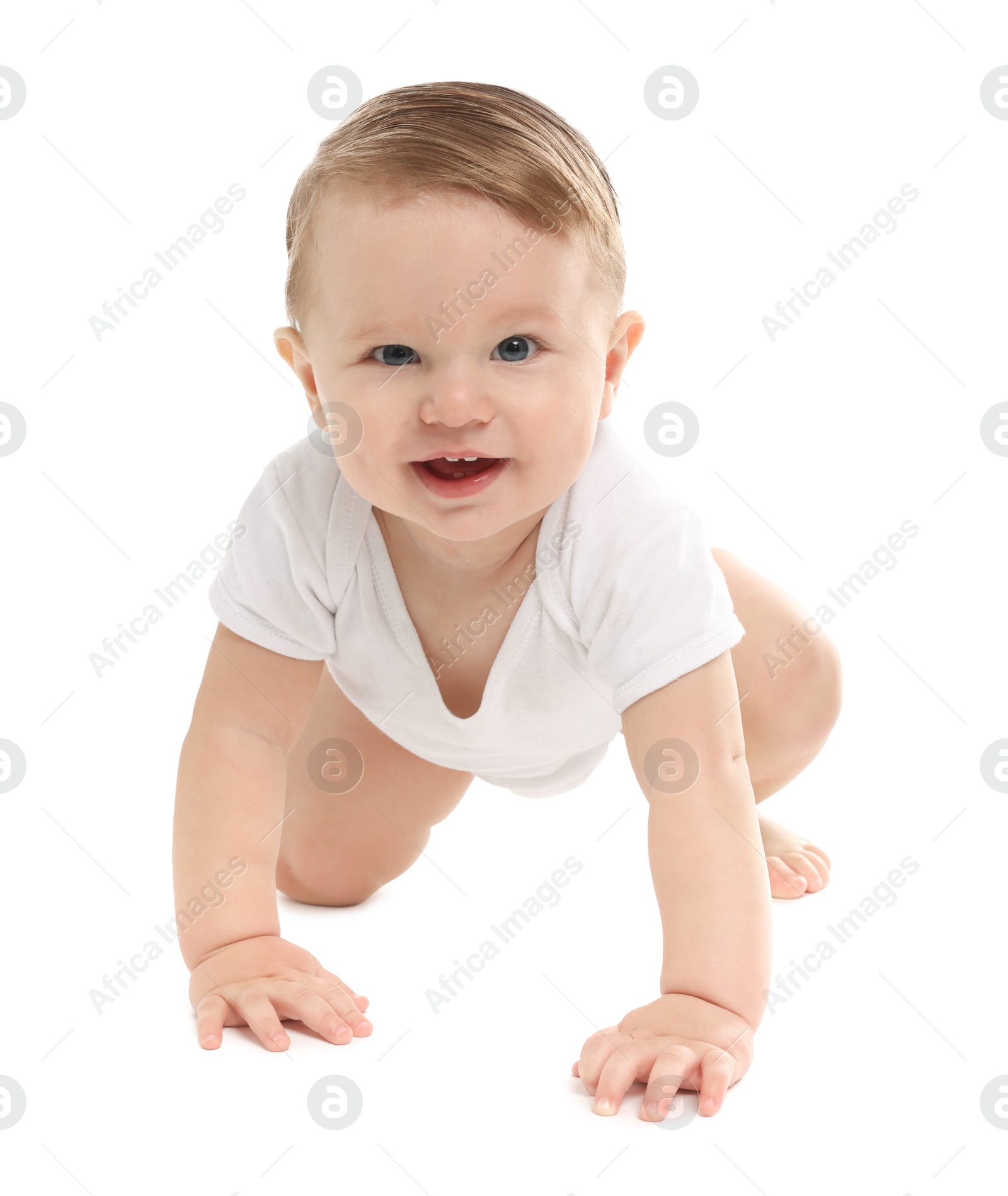 Photo of Cute little baby crawling on white background