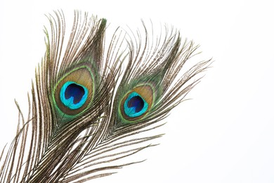 Photo of Two beautiful peacock feathers isolated on white