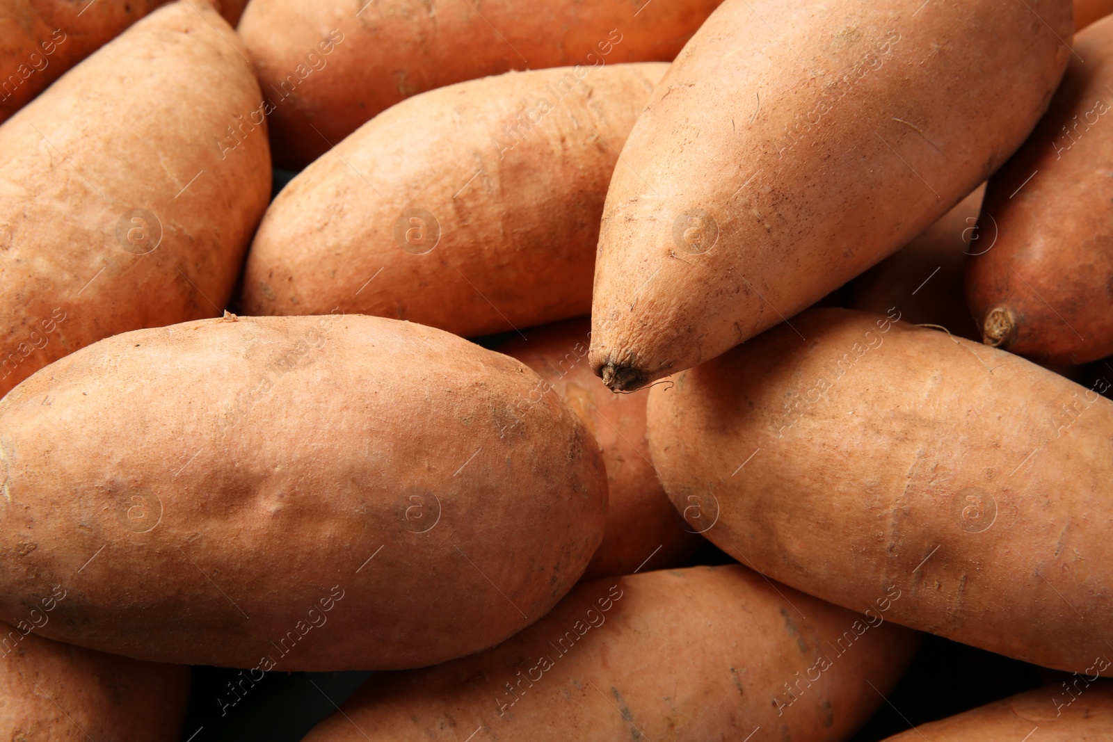 Photo of Fresh raw sweet potatoes as background, closeup
