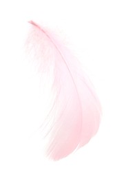 Photo of One fluffy pink feather isolated on white