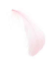 Photo of One fluffy pink feather isolated on white