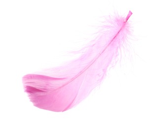 Photo of One fluffy pink feather isolated on white